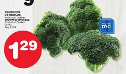 Marches Tradition CROWN OF BROCCOLI offer