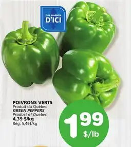 Marches Tradition GREEN PEPPERS offer