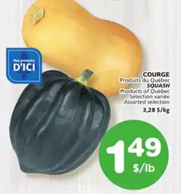 Marches Tradition SQUASH offer