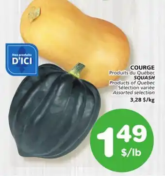 Marches Tradition SQUASH offer