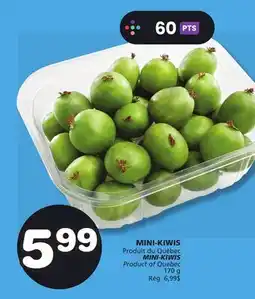 Marches Tradition MINI-KIWIS offer