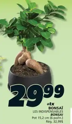 IGA LES INDISPENSABLES BONSAI offer