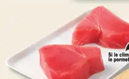 IGA FROZEN OR THAWED TUNA STEAKS offer
