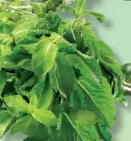 IGA MINT offer