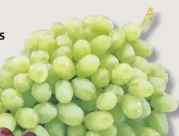 IGA GREEN GRAPES offer