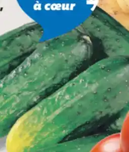 IGA CUCUMBERS FOR MARINATING offer