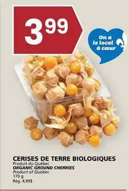 Rachelle-Bery Grocery ORGANIC GROUND CHERRIES offer