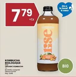 Rachelle-Bery Grocery RISE ORGANIC KOMBUCHA offer