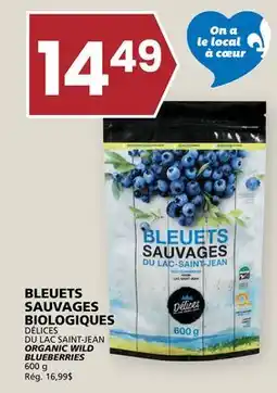 Rachelle-Bery Grocery DÉLICES DU LAC SAINT-JEAN ORGANIC WILD BLUEBERRIES offer