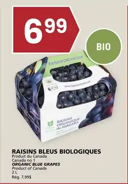 Rachelle-Bery Grocery ORGANIC BLUE GRAPES offer