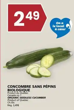 Rachelle-Bery Grocery ORGANIC SEEDLESS CUCUMBER offer