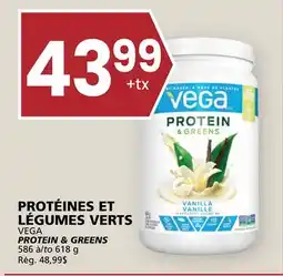 Rachelle-Bery Grocery VEGA PROTEIN & GREENS offer