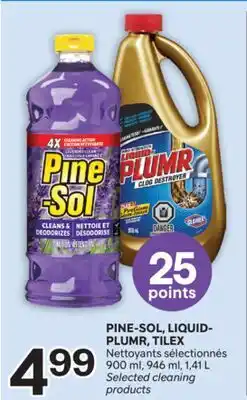 Brunet PINE-SOL, LIQUID PLUMR, TILEX Nettoyants sélectionnés offer