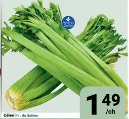 Pasquier Céleri offer