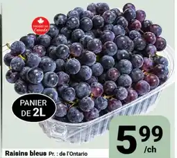 Pasquier Raisins bleus offer