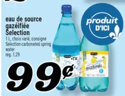 Marché Richelieu EAU DE SOURCE GAZÉIFIÉE SELECTION | SELECTION CARBONATED SPRING WATER offer