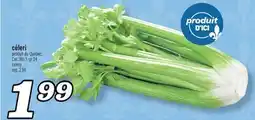 Marché Richelieu CÉLERI | CELERY offer