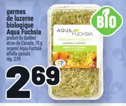 Metro GERMES DE LUZERNE BIOLOGIQUE AQUA FUCHSIA | ORGANIC AQUA FUCHSIA ALFALFA SPROUTS offer