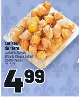 Metro CERISES DE TERRE | GROUND CHERRIES offer