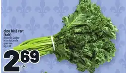 Metro CHOU FRISÉ VERT (KALE) | GREEN KALE offer