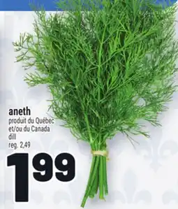 Metro ANETH | DILL offer