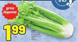Metro CÉLERI | CELERY offer