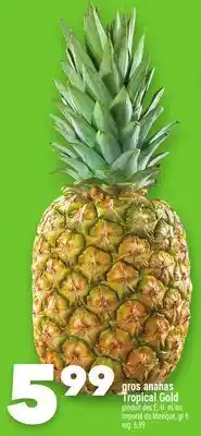 Marche Ami gros ananas Tropical Gold offer