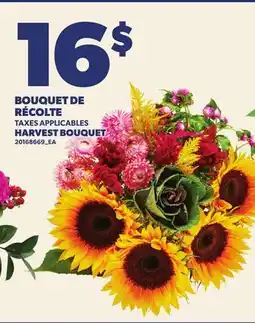 Provigo BOUQUET DE RÉCOLTE | HARVEST BOUQUET offer