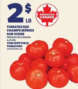 Provigo TOMATES DES CHAMPS MÛRIES SUR VIGNE | VINE RIPE FIELD TOMATOES offer