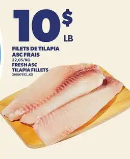 Provigo FILETS DE TILAPIA ASC FRAIS | FRESH ASC TILAPIA FILLETS offer