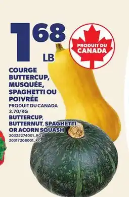 Provigo COURGE BUTTERCUP, MUSQUÉE, SPAGHETTI OU POIVRÉE | BUTTERCUP, BUTTERNUT SPAGHETTI OR ACORN SQUASH offer