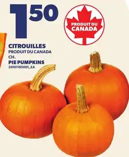 Provigo CITROUILLES | PIE PUMPKINS offer