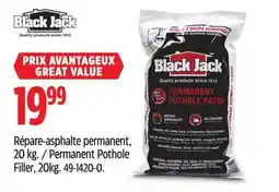 Canadian Tire BlackJack Permanent Pothole Filler offer