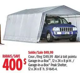 Canadian Tire ShelterLogic Garage-in-a-Box Peak Shelter offer