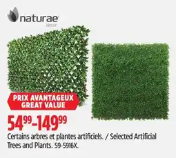 Canadian Tire Selected naturae Artificial Trees and Plants offer