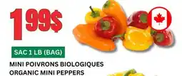 Marches Tau MINI POIVRONS BIOLOGIQUES offer