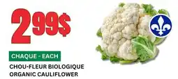 Marches Tau CHOU-FLEUR BIOLOGIQUE offer