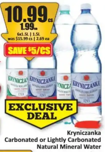 Kryniczanka Carbonated or Lightly Carbonated Natural Mineral Water
