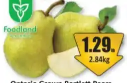 Starsky Foodland Ontario Crown Bartlett Pears offer