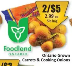 Starsky Foodland Ontario Carrots & Cooking Onions offer