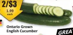 Starsky English Cucumber offer