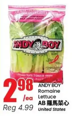 Btrust Supermarket Andy boy romaine lettuce offer