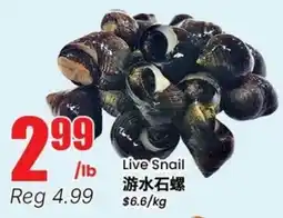 Btrust Supermarket Live Snail offer