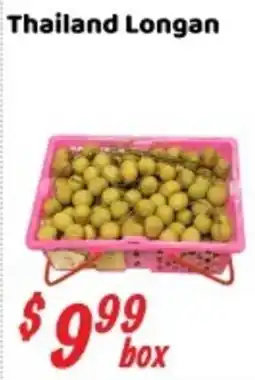 Nations Fresh Foods Thailand Longan offer