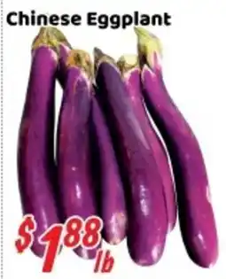 Nations Fresh Foods Chinese Eggplant offer