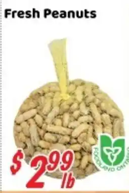 Nations Fresh Foods Fresh Peanuts offer