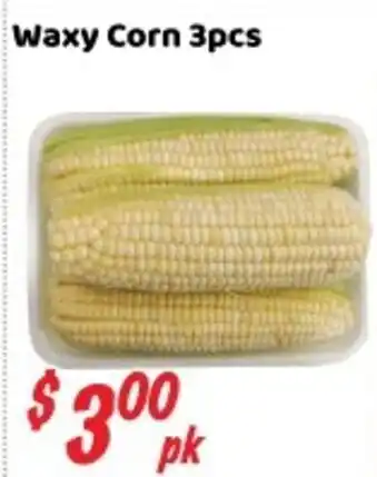 Waxy Corn
