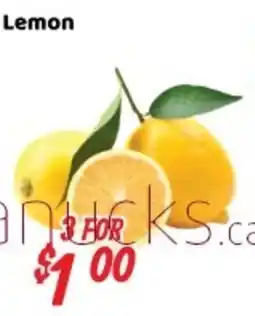 Nations Fresh Foods Lemon offer