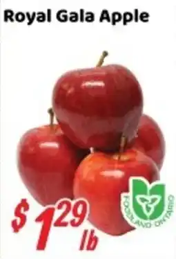 Nations Fresh Foods Royal Gala Apple offer