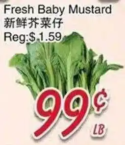 Foody Mart Fresh Baby Mustard offer